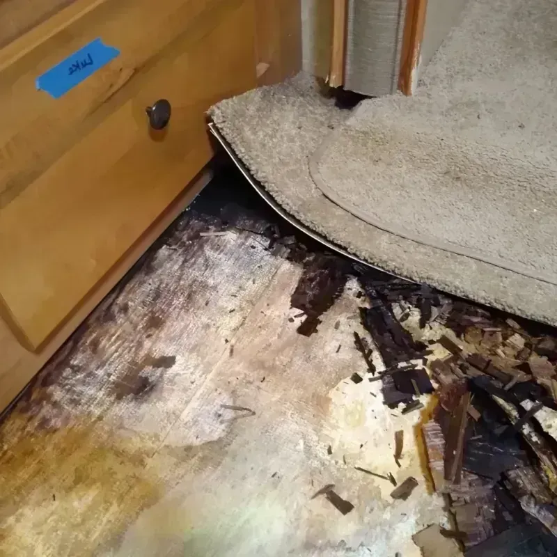 Wood Floor Water Damage in Mogul, NV